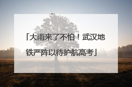 大雨来了不怕！武汉地铁严阵以待护航高考