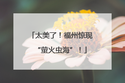 太美了！福州惊现“萤火虫海”！