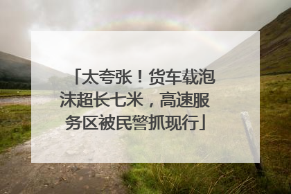 太夸张！货车载泡沫超长七米，高速服务区被民警抓现行