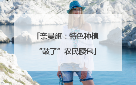 奈曼旗：特色种植“鼓了”农民腰包