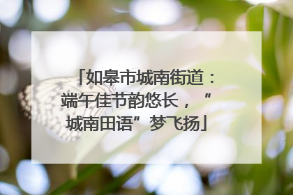 如皋市城南街道：端午佳节韵悠长，“城南田语”梦飞扬