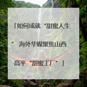 如何成就“甜蜜人生” 海外华媒聚焦山西高平“甜蜜工厂”