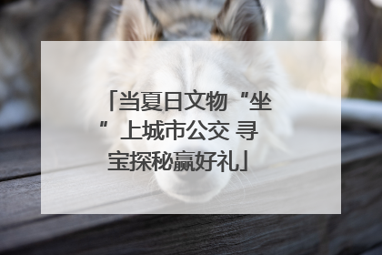 当夏日文物“坐”上城市公交 寻宝探秘赢好礼