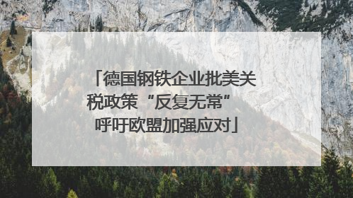 德国钢铁企业批美关税政策“反复无常” 呼吁欧盟加强应对