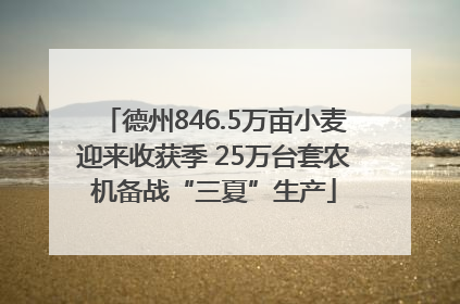 德州846.5万亩小麦迎来收获季 25万台套农机备战“三夏”生产