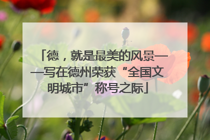 德，就是最美的风景——写在德州荣获“全国文明城市”称号之际