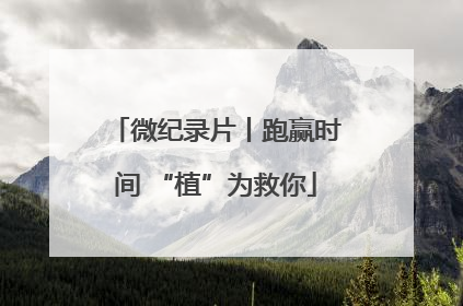 微纪录片丨跑赢时间 “植”为救你