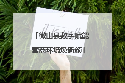 微山县数字赋能营商环境焕新颜