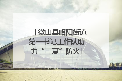 微山县昭阳街道第一书记工作队助力“三夏”防火