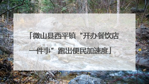 微山县西平镇“开办餐饮店一件事”跑出便民加速度