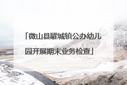 微山县驩城镇公办幼儿园开展期末业务检查