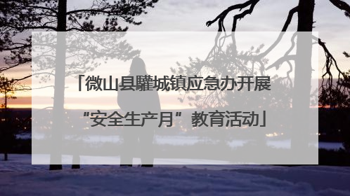 微山县驩城镇应急办开展“安全生产月”教育活动