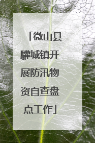 微山县驩城镇开展防汛物资自查盘点工作