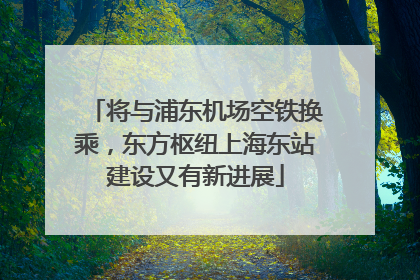 将与浦东机场空铁换乘，东方枢纽上海东站建设又有新进展