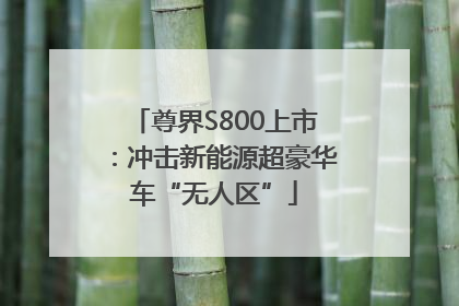 尊界S800上市：冲击新能源超豪华车“无人区”