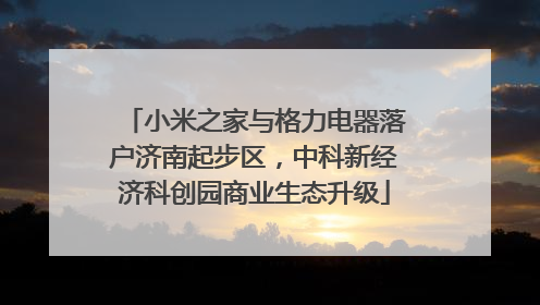 小米之家与格力电器落户济南起步区，中科新经济科创园商业生态升级