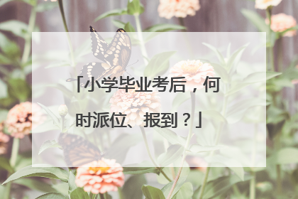 小学毕业考后，何时派位、报到？