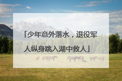 少年意外落水，退役军人纵身跳入湖中救人