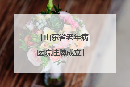 山东省老年病医院挂牌成立
