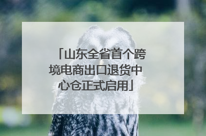 山东全省首个跨境电商出口退货中心仓正式启用