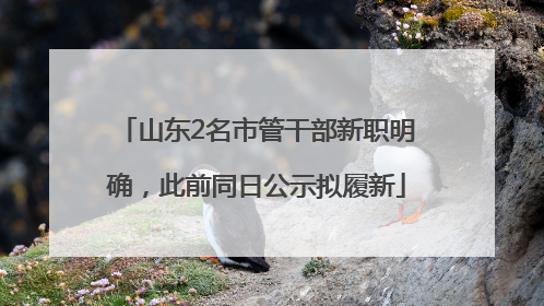 山东2名市管干部新职明确，此前同日公示拟履新