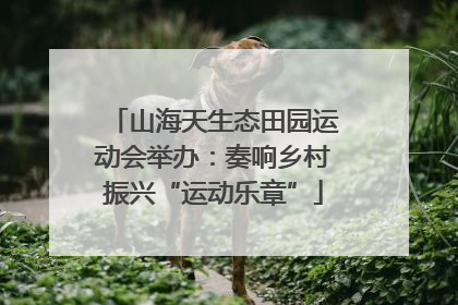 山海天生态田园运动会举办：奏响乡村振兴“运动乐章”