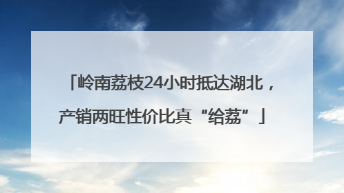 岭南荔枝24小时抵达湖北，产销两旺性价比真“给荔”