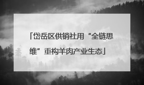 岱岳区供销社用“全链思维”重构羊肉产业生态