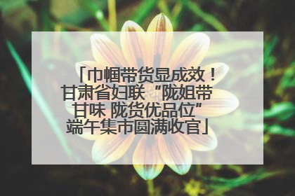 巾帼带货显成效！甘肃省妇联“陇姐带甘味 陇货优品位”端午集市圆满收官