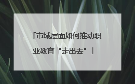 市域层面如何推动职业教育“走出去”