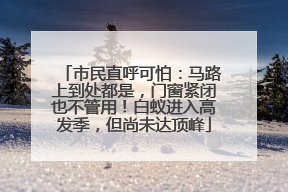 市民直呼可怕：马路上到处都是，门窗紧闭也不管用！白蚁进入高发季，但尚未达顶峰