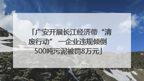 广安开展长江经济带“清废行动” 一企业违规倾倒500吨污泥被罚8万元