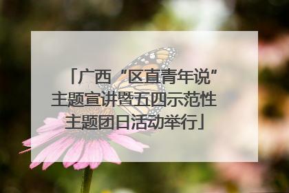 广西“区直青年说”主题宣讲暨五四示范性主题团日活动举行