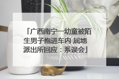广西南宁一幼童被陌生男子抱进车内 属地派出所回应：系误会