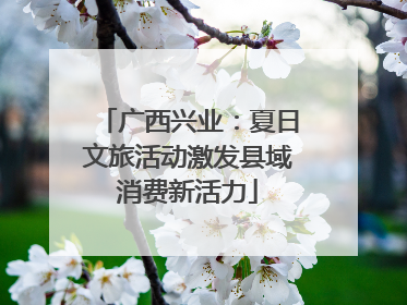 广西兴业：夏日文旅活动激发县域消费新活力