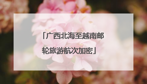 广西北海至越南邮轮旅游航次加密
