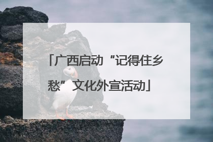广西启动“记得住乡愁”文化外宣活动