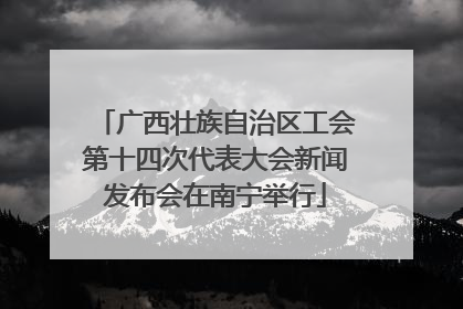 广西壮族自治区工会第十四次代表大会新闻发布会在南宁举行