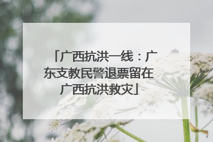 广西抗洪一线：广东支教民警退票留在广西抗洪救灾