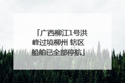广西柳江1号洪峰过境柳州 辖区船舶已全部停航