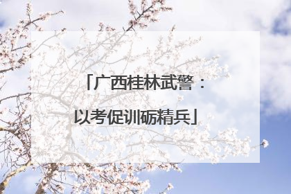广西桂林武警：以考促训砺精兵