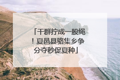 干群拧成一股绳！夏邑县骆集乡争分夺秒促夏种