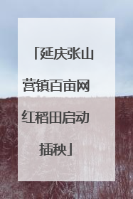 延庆张山营镇百亩网红稻田启动插秧