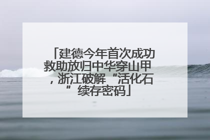 建德今年首次成功救助放归中华穿山甲，浙江破解“活化石”续存密码