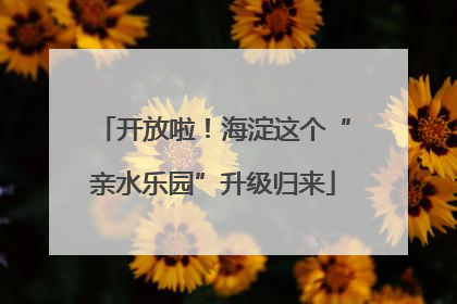 开放啦！海淀这个“亲水乐园”升级归来