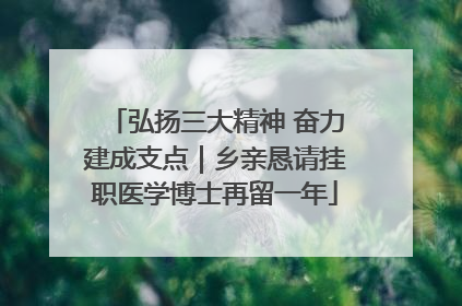 弘扬三大精神 奋力建成支点｜乡亲恳请挂职医学博士再留一年
