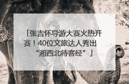 张吉怀导游大赛火热开赛！40位文旅达人秀出“湘西北待客经”