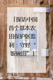 探访中国首个基本农田保护区监利：守好“饭碗田”
