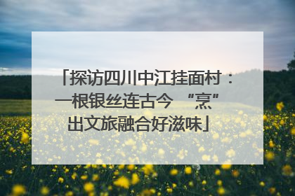 探访四川中江挂面村：一根银丝连古今 “烹”出文旅融合好滋味