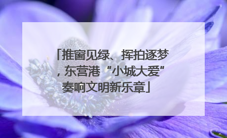 推窗见绿、挥拍逐梦，东营港“小城大爱”奏响文明新乐章
